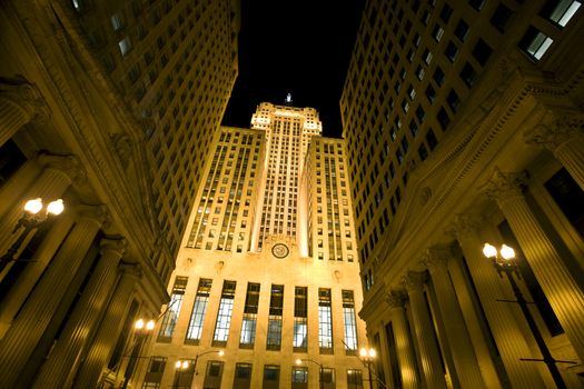 Chicago Downtown City  Night Photography