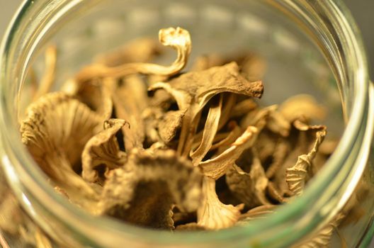 A jar of dry funnel chanterelles.