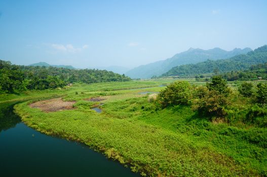 River and forest