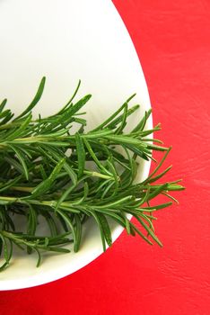 fresh rosemary green sprigs in white bowl