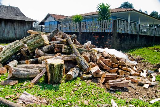 Stack firewood in traditional farm in the state of Parana, southern Brazil.