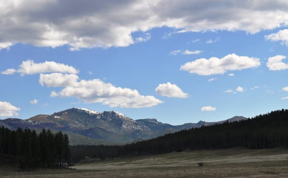 Black hills background