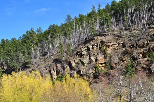 Black hills and sky background