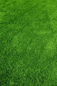 Photo of the beautiful green grass texture