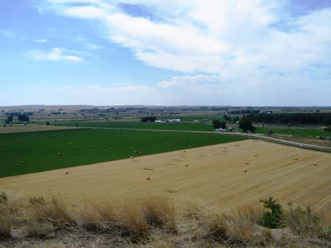 Farming landscape