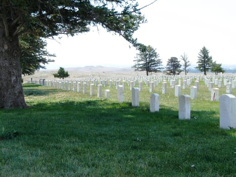 Military cemetary