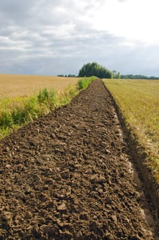 Freshly plowed field furrow. Fertile soil in the field.