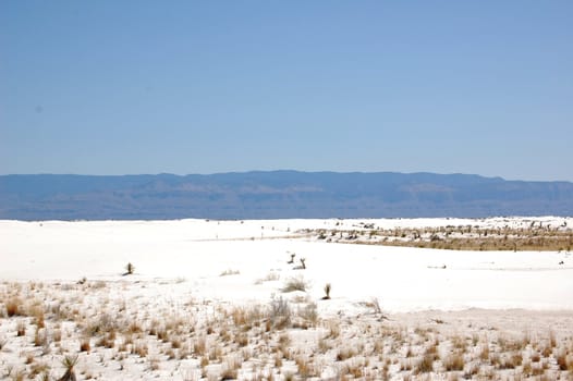 White Sands