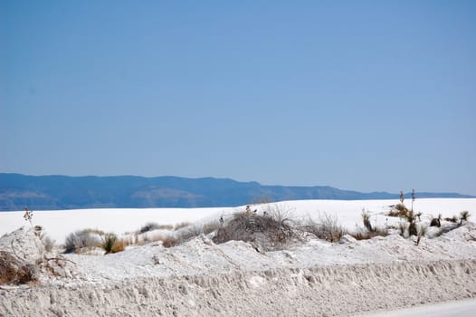 White Sands