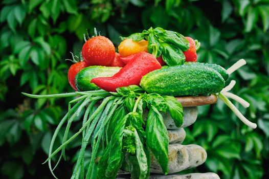 Fresh vegetables. Tomato, red pepper, cucumber, green onions