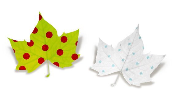 Decorative fall leaves with texture pattern over white background.