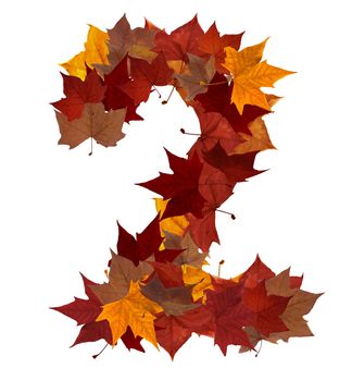 Number 2 made with autumn leaves isolated on white with clipping path. So you can easily cut it out and place over the top of a design. Find others symbols in our portfolio to compose your own words.