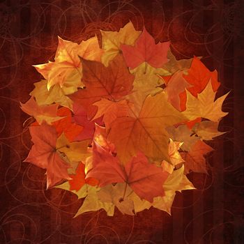 Autumn leaf in circle shape collage over vintage pattern background