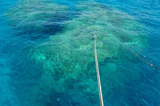 anchro rope at a coral reef in the red sea.....