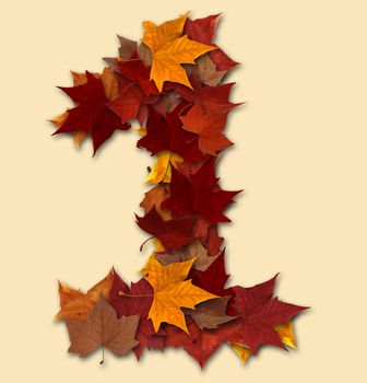 Number 1 drop shadow made with autumn leaves Isolated with clipping path, so you can easily cut it out and place over the top of a design. Find others types in our portfolio to compose your own words.
