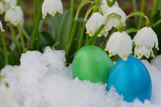 Lillies of the valley with snow with eggs