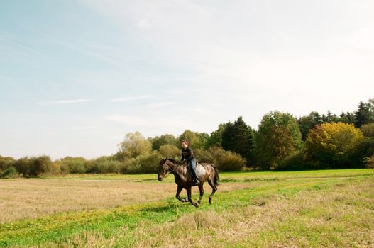 Rider gallops across the field.