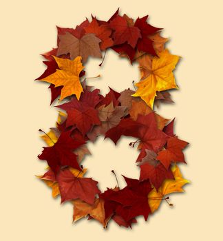 Number 8 drop shadow made with autumn leaves Isolated with clipping path, so you can easily cut it out and place over the top of a design. Find others types in our portfolio to compose your own words.