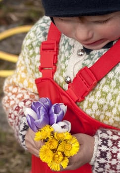 Child holding a bouquet of the first spring flowers