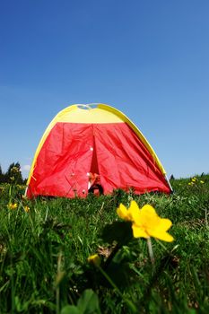 A colourful tent in the meadow outside