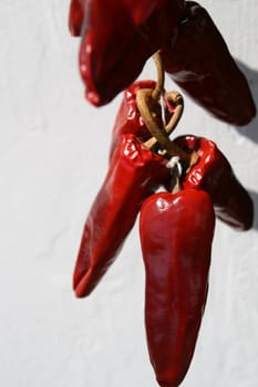 red peppers drying on a wall - macro