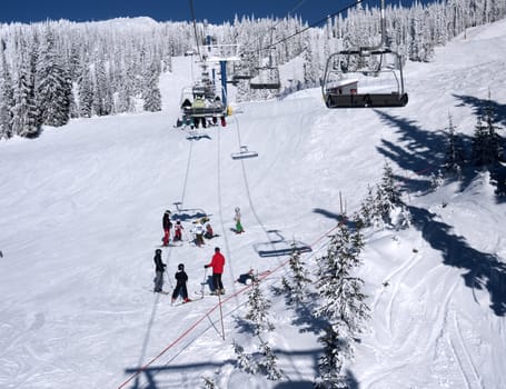 ski class on a sunny blue sky day