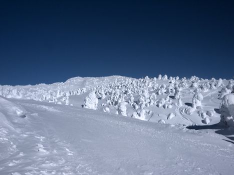 mountain on a sunny day