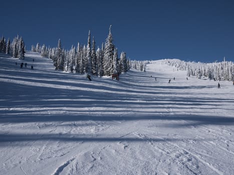 skiing downhill on a sunny blue sky day