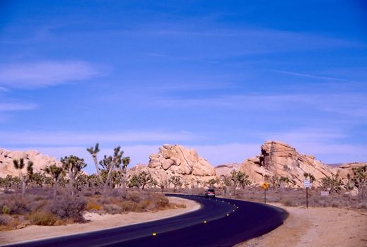 Joshua Tree National Park is located in south-eastern California