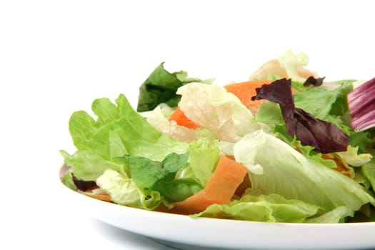 plate of salad detail with copy space isolated on white backround food concepts