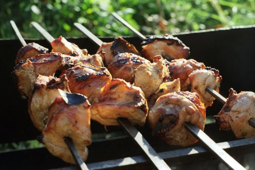 outdoor picnic; some pieces of meat broiled on a brazier