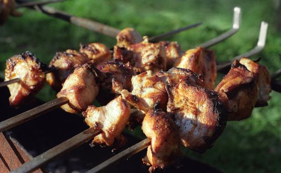 outdoor picnic; some pieces of meat broiled on a brazier