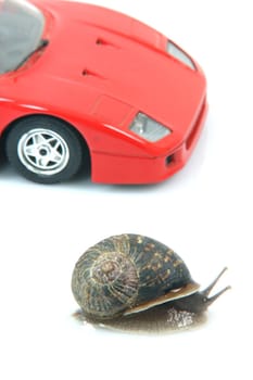 racing comon garden snail and sports car background isolated humor concepts