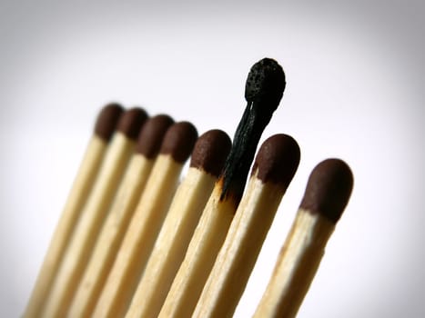 Close-up photo of several matches in a row with one burnt