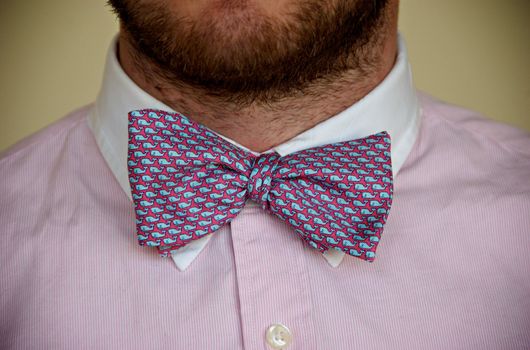 A man in a pink pinstriped shirt and a pink bowtie with blue whales.