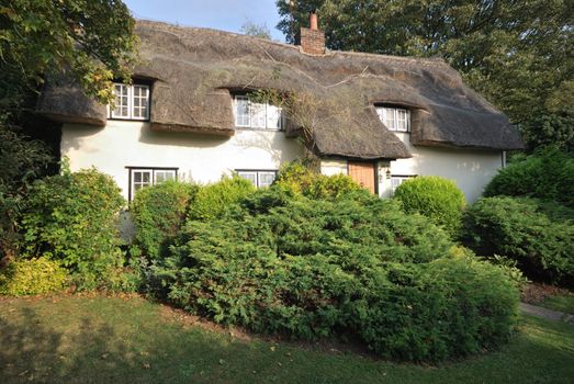 Idyllic Country cottage