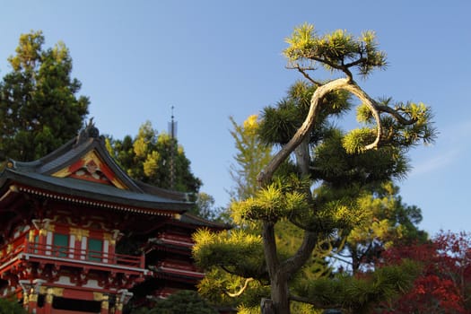 Japanese temple and a tree on foreground