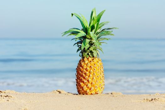 Fresh pineapple with green leafs on the beach