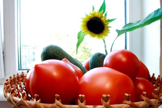 Great foto of cucumber and tomatoes and sunflower