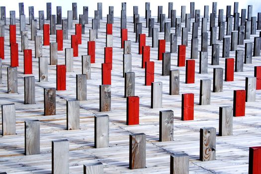 Pieces of wood planks appear from wooden flooring