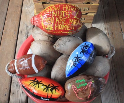 colorfully decorated artistic coconuts with messages