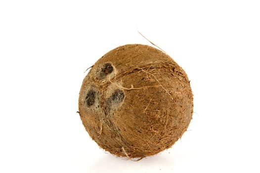 a whole coconut on a white background