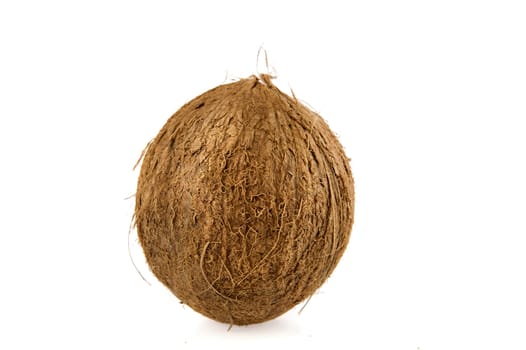 a whole coconut on a white background