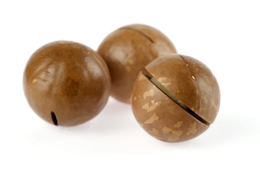 three macadamia nuts on a white background