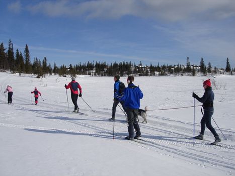 skiing view