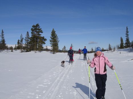 skiing, vegglifjell