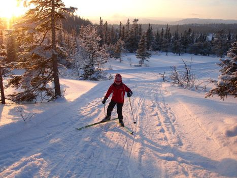 skiing view