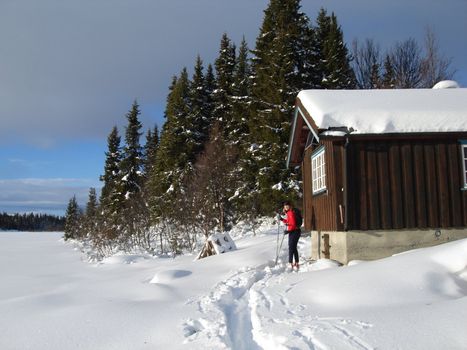 skiing view