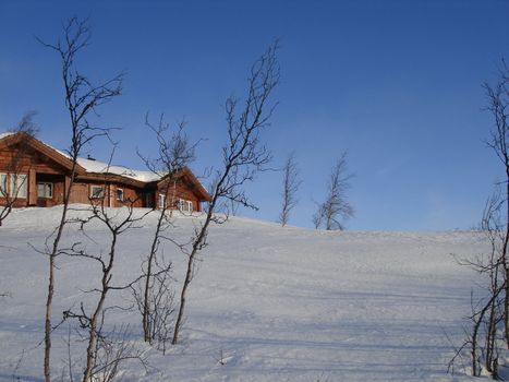 skiing view