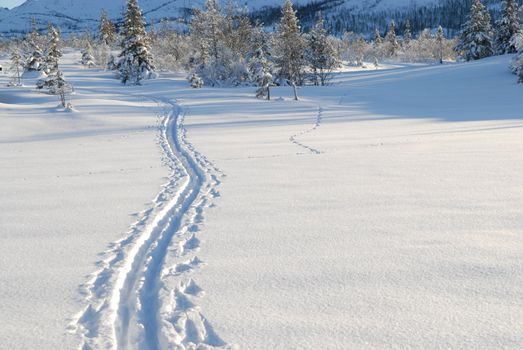 skiing view